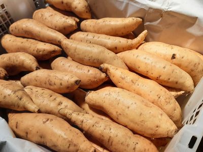 Ubi Cilembu pack plastic box